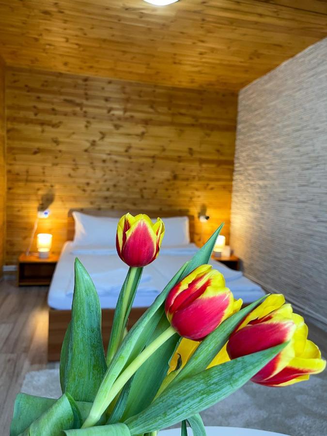 Somogyi Vendeghaz Bed & Breakfast Bancu ภายนอก รูปภาพ